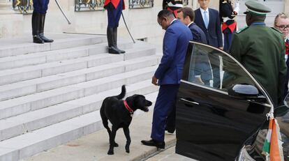 El presidente de Níger, Mahamadou Issoufou, observa a la mascota de Macron a su llegada al Elíseo.