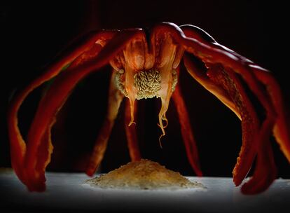 Ingredientes de los pimientos con arroz, en un homenaje a la artista Louise de Bourgeois y su obra <i>Mamá.</i>