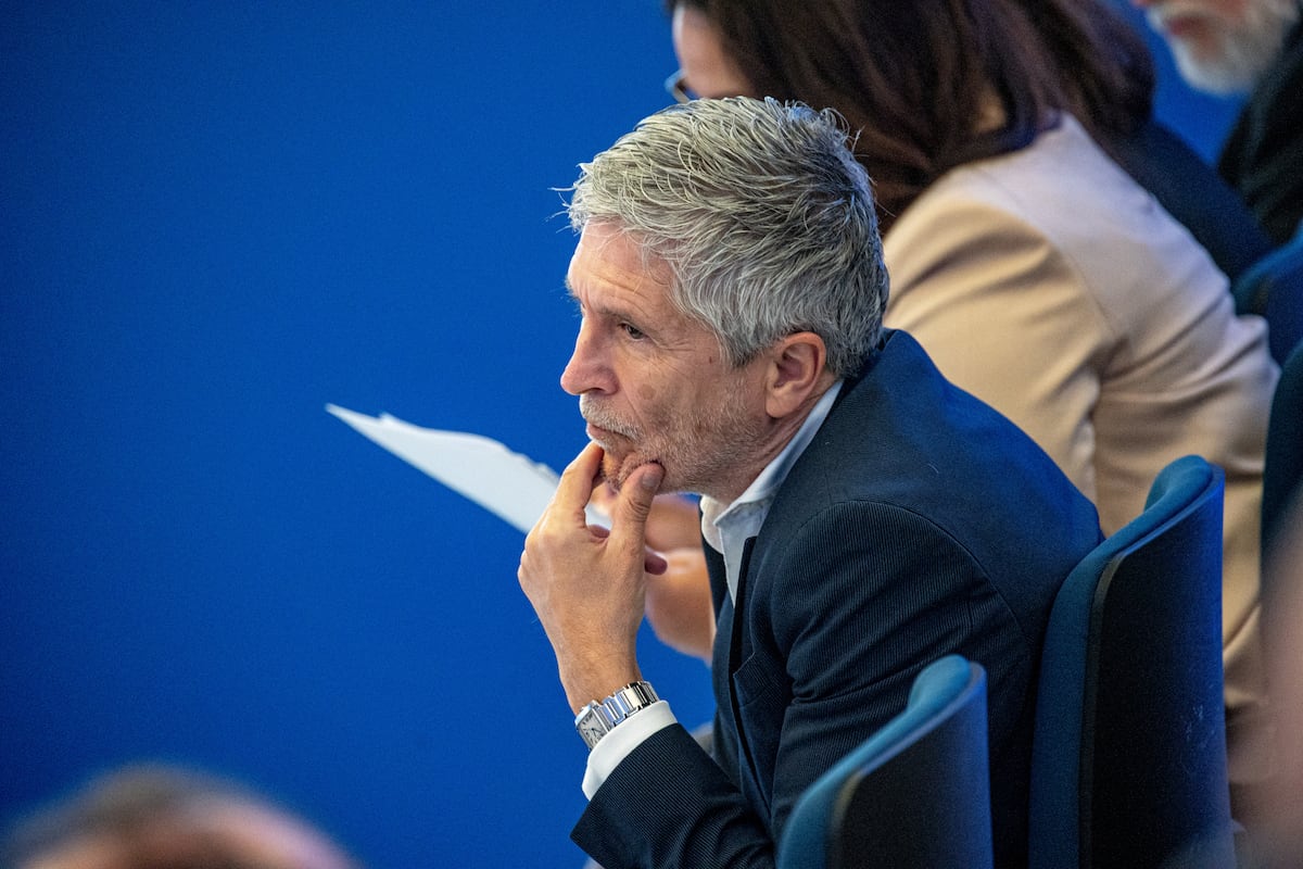 Interior detects 39 pages on the Internet every day with content proselytizing jihadist violence | Spain Interior detects 39 pages on the Internet every day with content proselytizing jihadist violence | Spain