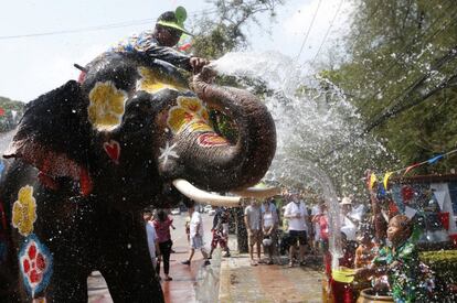 Elefantes y humanos se lanzan agua durante las celebraciones del Festival Songkran en Ayutthaya (Tailandia).