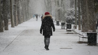 Snow in Madrid's Retiro Park on Thursday.