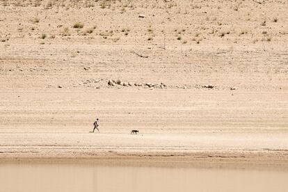 Un hombre camina con su perro donde antes llegaba el agua del embalse de Entrepeñas. 