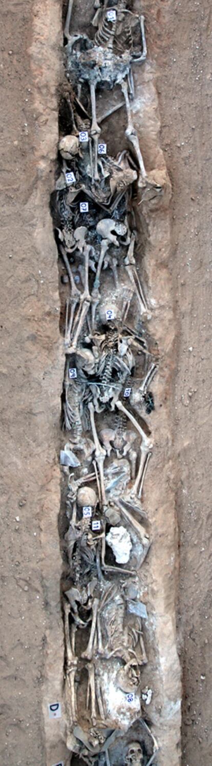 Fosa de Gumiel de Izán, de más de 30 metros, en la que se han hallado 59 esqueletos.