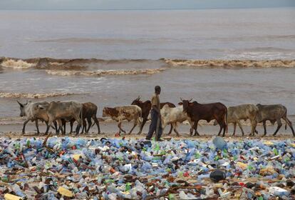 Un hombre pasea con su ganado en la playa contaminada Korle Gono, que está cubierta por botellas de plástico y otros objetos que han llegado después de las fuertes riadas en Acra, Ghana.