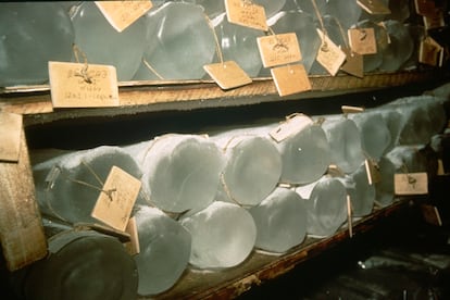 Testigos de hielo almacenados en la base de Vostok, durante la expedición de 1984-1985.