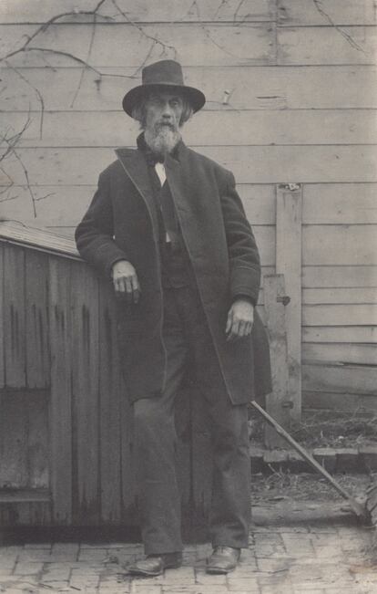 William H. Macdowell, 1884