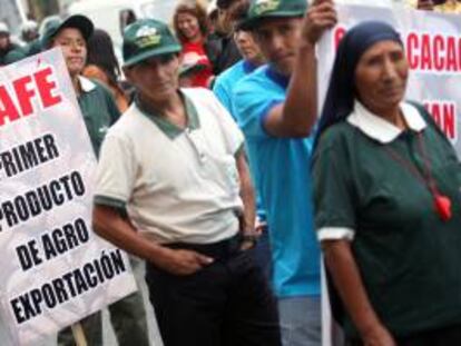 Los manifestantes pertenecen a la Confederación de Cafetaleros de la Selva Central, que tienen sus cultivos en las localidades selváticas de Satipo y Oxapampa y pedían créditos para renovar las plantaciones enfermas por la roya y la refinanciación de sus deudas. EFE/Archivo