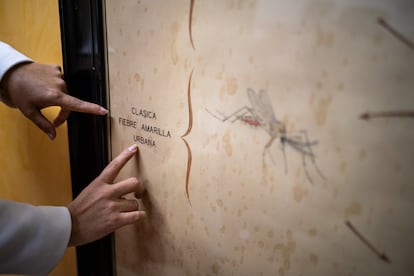 La directora del Instituto Nacional de Salud de Colombia muestra un documento de los años veinte con ilustración de la fiebre amarilla, el pasado 29 de abril en la sede del instituto, en Bogotá. 