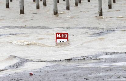 Detalle del desbordamiento del río Ebro en el municipio de Castejón. 