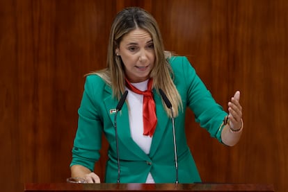 La portavoz del PSOE, Mar Espinar, interviene durante la segunda sesión del debate del estado de la región en la Asamblea de Madrid, este viernes.  
