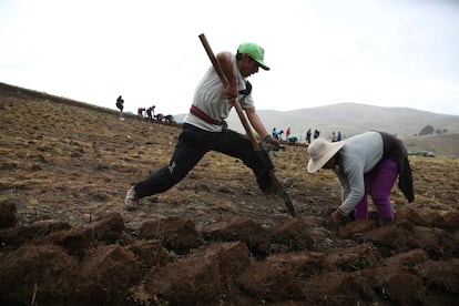 Desde campos de cultivo a 3.500 metros de altura en el departamento de Junín, en el centro de Perú, agricultores y ganaderos expresan su preocupación por la incertidumbre de la climatología que les hace mucho más daño de lo que pueda parecer a simple vista. En la imagen, dos campesinos trabajan la tierra en la comunidad de San José de Apata.