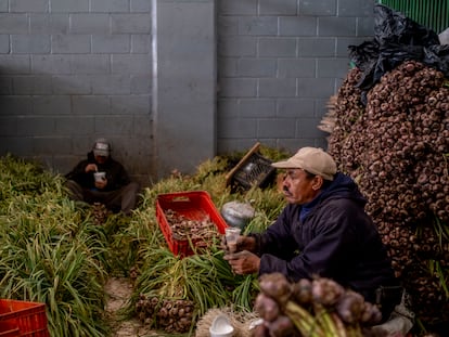 Dos trabajadores en una central de abastos en Boyacá, Colombia, el 21 de diciembre de 2023.