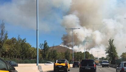 Un incendio en Collserola en septiembre.