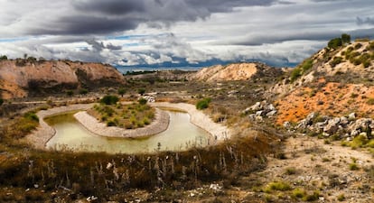 En lugar de pintar de verde el bosque, en 2006, el atípico profesor de botánica Santiago Sardinero comenzó, junto con la empresa de cementos Lafarge, una restauración distinta, basada en recuperar la vegetación –la escasa vegetación– de la Mesa de Ocaña. Hoy Sardinero pasea entre el resultado.