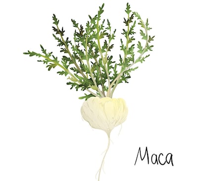 La maca andina es un tubérculo que nace en las montañas de Perú y Bolivia.