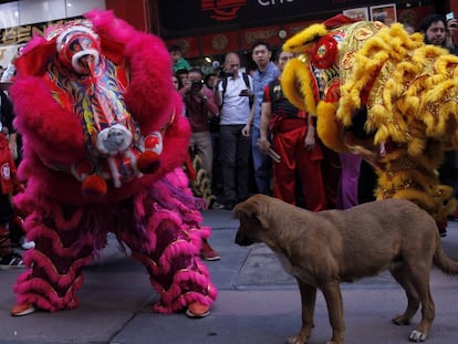 Varias personas participan en las celebraciones con motivo del Año Nuevo chino este viernes en el Barrio Chino de Ciudad de México.