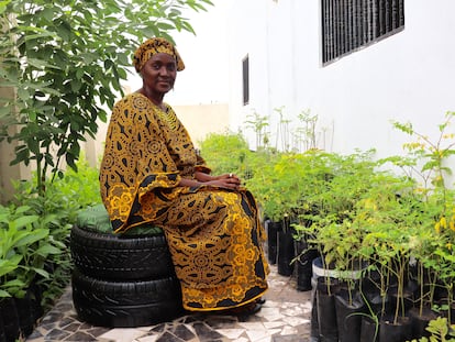 Isatou Ceesay, sentada sobre una silla fabricada con ruedas de coche en el vivero de su casa de Banjul, Gambia, en julio de 2022.