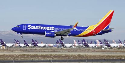 Un avión de Southwest Airlines modelo 737 Max de Boeing 