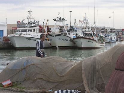 Un hombre camina por el muelle pesquero de Barbate (Cádiz).