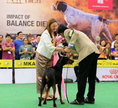 World Dog Show