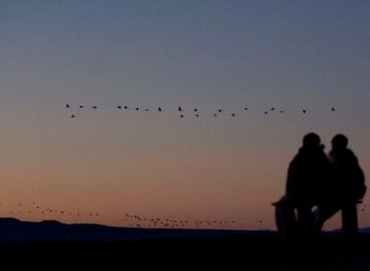 Amanecer en la laguna de Gallocanta,  donde limitan Zaragoza y Teruel, humedal donde pasan el invierno miles de  aves migratorias, sobre todo grullas.