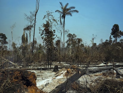 As marcas dos incêndios no município de Cláudia, no Mato Grosso.