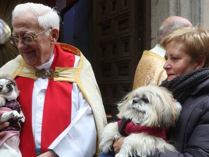 El Padre Ángel bendice a cientos de mascotas en la iglesia madrileña de San Antón.