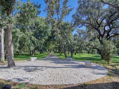 Zona de encinar del entorno del meteorológico, en el parque del Retiro. ANTONELLO DELLANOTTE