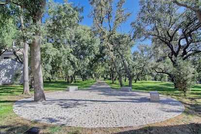 Zona de encinar del entorno del meteorológico, en el parque del Retiro. ANTONELLO DELLANOTTE