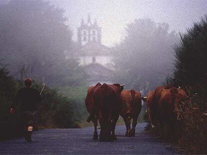 Calvor, Galicia, ruta del Camino de Santiago, a pocos kilómetros de Samos.