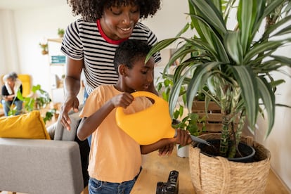 Cuidar juntos las plantas de interior dará al niño la posibilidad de aprender muchas pequeñas cosas.