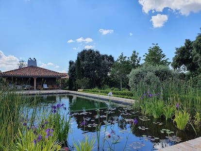 Piscina natural en un jardín privado en la provincia de Ávila. Es obra de Estudio MIX Paisajismo en colaboración con Julia Casaravilla, Alicia Heres y Nacho López.