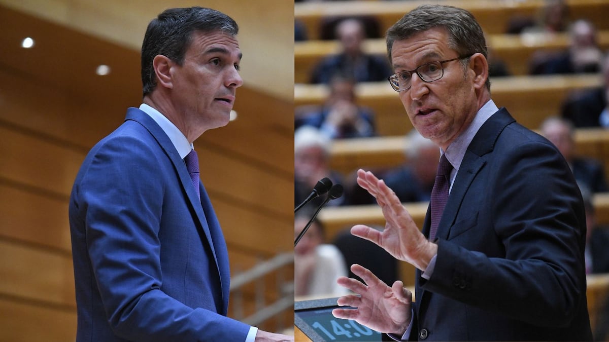Vídeo | Sánchez y Feijóo: el último cara a cara en el Senado antes de ...