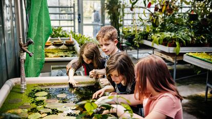 Tareas inacabadas en la pedagogía ambiental