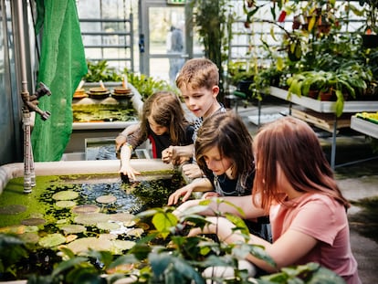 Tareas inacabadas en la pedagogía ambiental