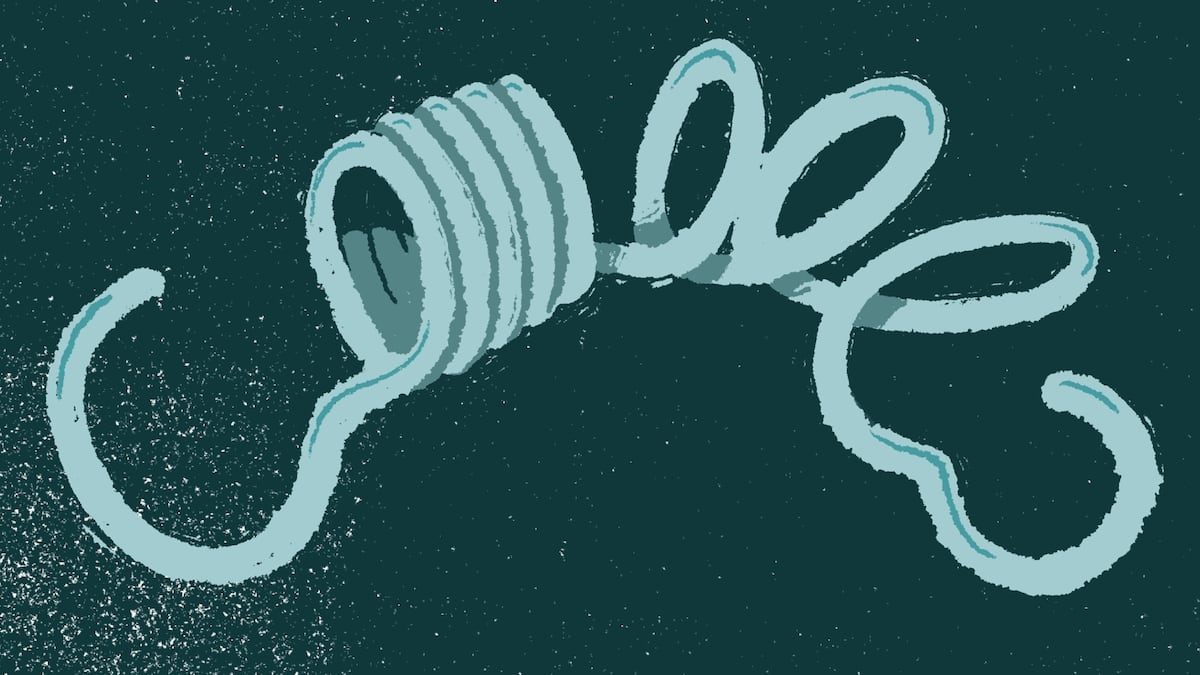 El PSOE y el precio territorial del poder