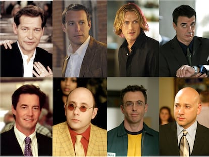 Richard, Aidan, Smith, Big, Trey, Stanford, Steve y Harry, algunos de los hombres que con mayor o menor protagonismo aparecieron en 'Sexo en Nueva York'.