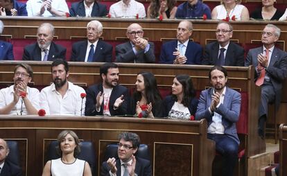 Los diputados de Podemos muestran claveles rojos con los que han querido honrar a los "héroes y heroínas" que lucharon contra la dictadura franquista.