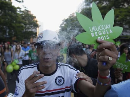 Homem celebra a legalização da maconha no Uruguai.