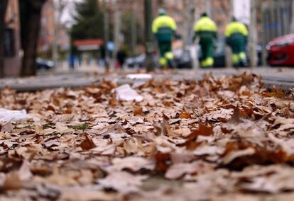 Una multitud de hojas en una calle de Madrid.