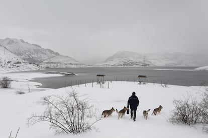 Una persona camina con varios perros por la nieve, este jueves, en León.