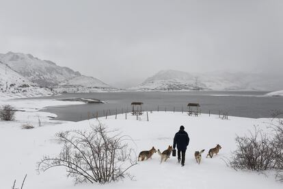 Una persona camina con varios perros por la nieve, este jueves, en León.