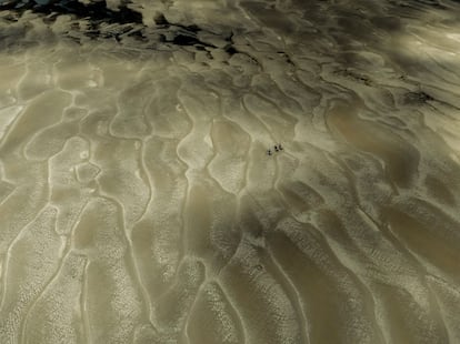 Amazonas