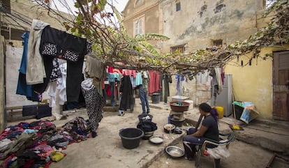 Khoudia Wade cocina y lava ropa en el patio protegido por una parra y un cerezo, ambas especies raras en la isla, que según el patriarca de la casa “trajeron los franceses”. Los patios son espacios de trabajo y de conversación: Khoudia es la encargada de atender las necesidades de la familia porque es la única que no ha proseguido sus estudios hasta la universidad.