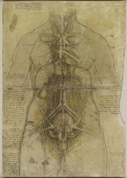 Leonardo Da Vinci (1452, Anchiano - 1519, Clos) realizó una serie de impresionantes bocetos describiendo la antomía humana. En esta ilustración, Da Vinci recrea el sistema cardiovascular y los órganos principales de la anatomía femenina. El boceto se expone en 'Leonardo da Vinci: Mecánica del hombre', una muestra abierta al público en la Galería de la reina del Palacio de Holyroodhouse de Edimburgo desde el 2 de agosto y hasta el 10 de noviembre.