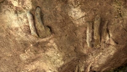 Evidencia de dinosaurios encontrada en La Rioja