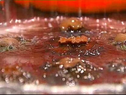 Las anémonas, otro manjar de las rías gallegas