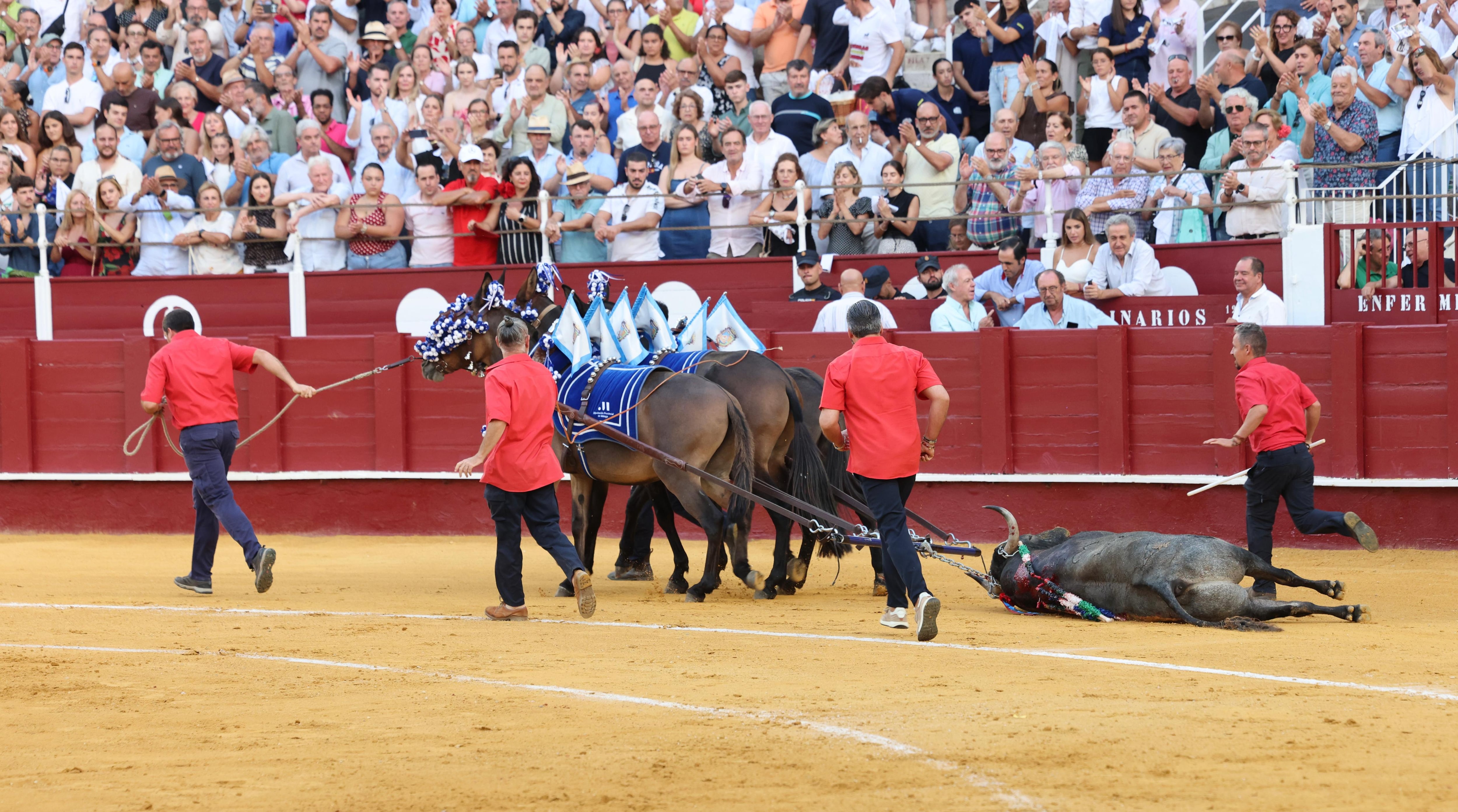 Málaga, plaza de toros de primera y tercera de España, en el contexto de una tauromaquia desnaturalizada