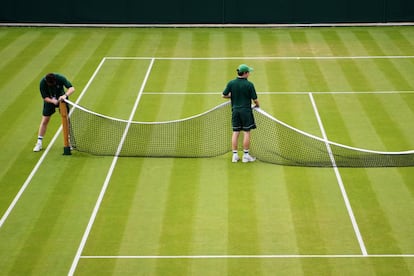 Operarios colocan una red de una de las pistas de Wimbledon, Londres (Reino Unido).