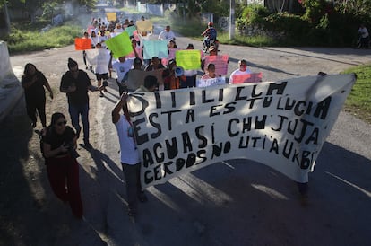 Habitantes de Sitilpech (Estado de Yucatán) se manifiestan contra la Granja Porcícola Kancabchén II, el 14 de enero de 2023.